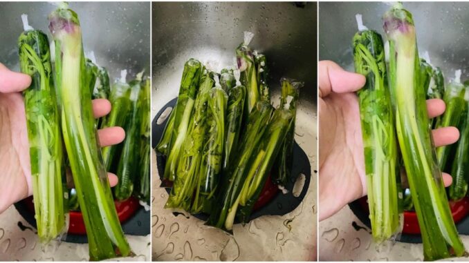 Risau-Daun-Bawang-Daun-Sup-Cepat-Rosak_-Ini-Cara-Penyimpanan-Yang-Betul-Confirm-Menjadi-678x381