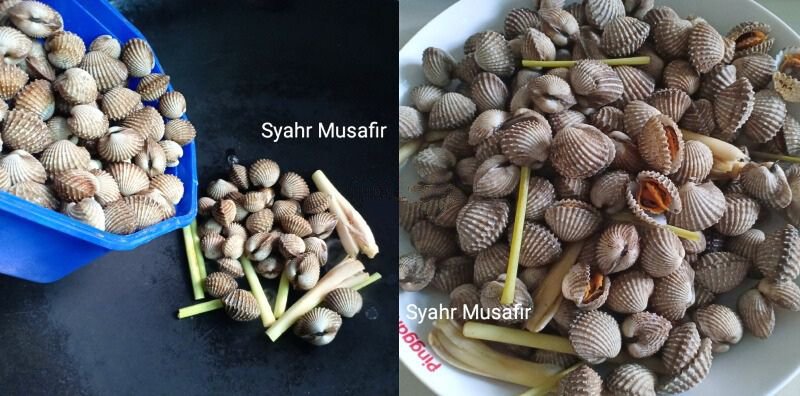 cara-rebus-kerang-tanpa-air-